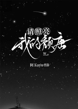 请照亮我的颓唐封面