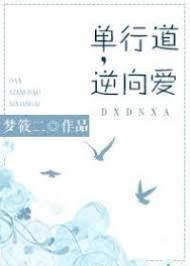 单行道，逆行爱封面