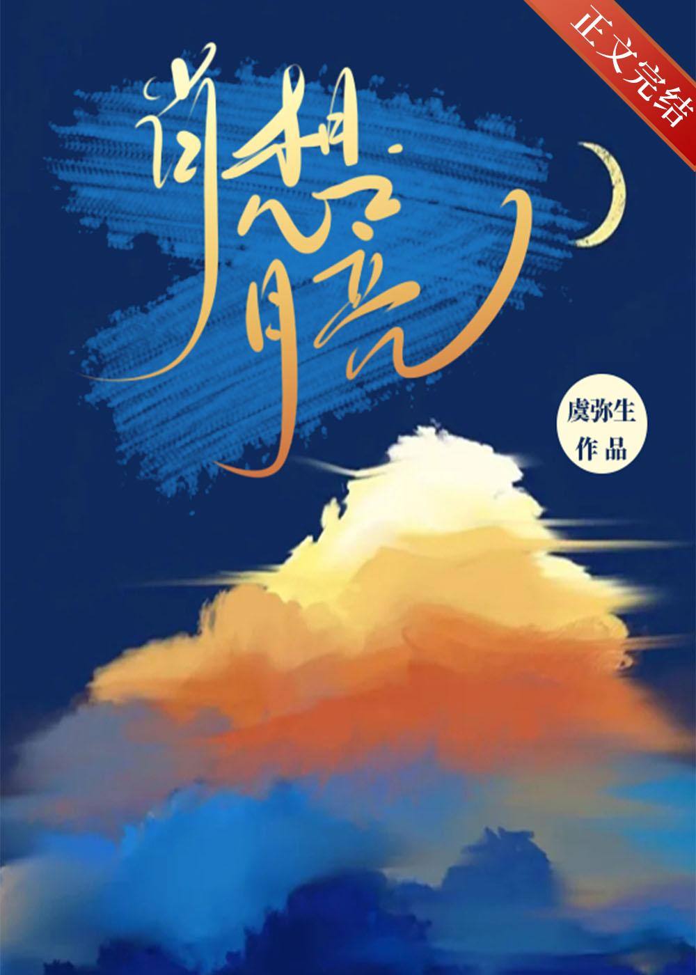 肖想月亮封面