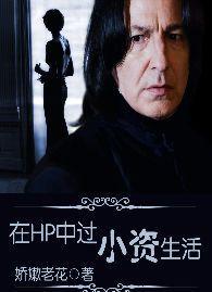 在HP中过小资生活封面