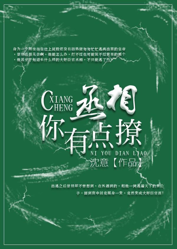 丞相你有点撩封面