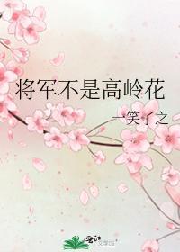 将军不是高岭花封面