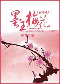 墨玉梅花封面