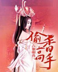 偷香高手封面