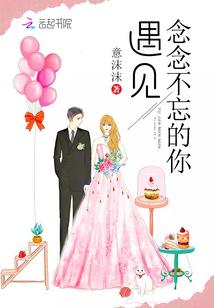 遇见念念不忘的你封面