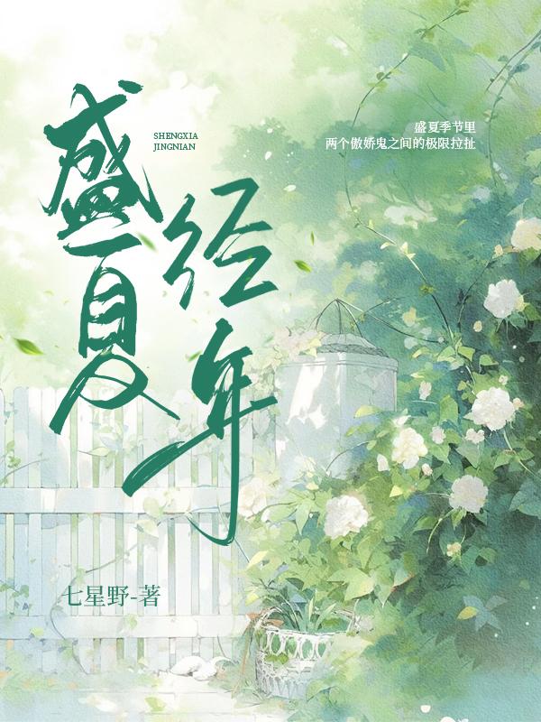盛夏经年封面