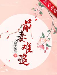 前妻难追封面