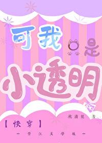可我只是小透明啊[快穿]封面