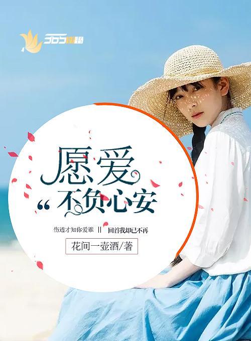 愿爱不负心安封面