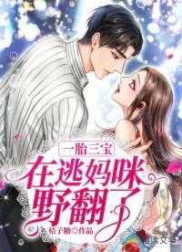 一胎三宝:在逃妈咪野翻了封面