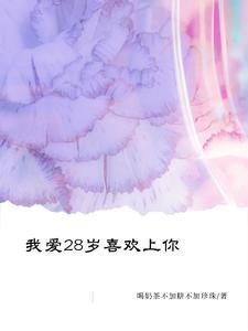 我爱28岁喜欢上你封面