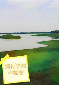 搞化学的不能惹封面