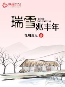 瑞雪兆丰年封面