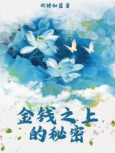金钱之上的秘密封面