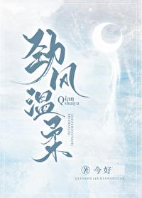 劲风温柔封面
