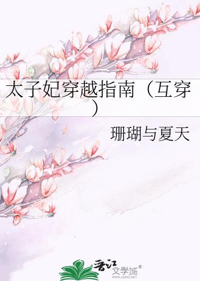 太子妃穿越指南（互穿）封面