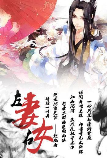 左妻右女封面