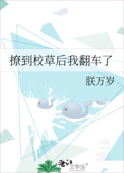 撩到校草后我翻车了封面