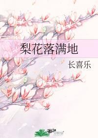 梨花落满地封面
