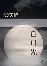 毁灭吧，白月光封面
