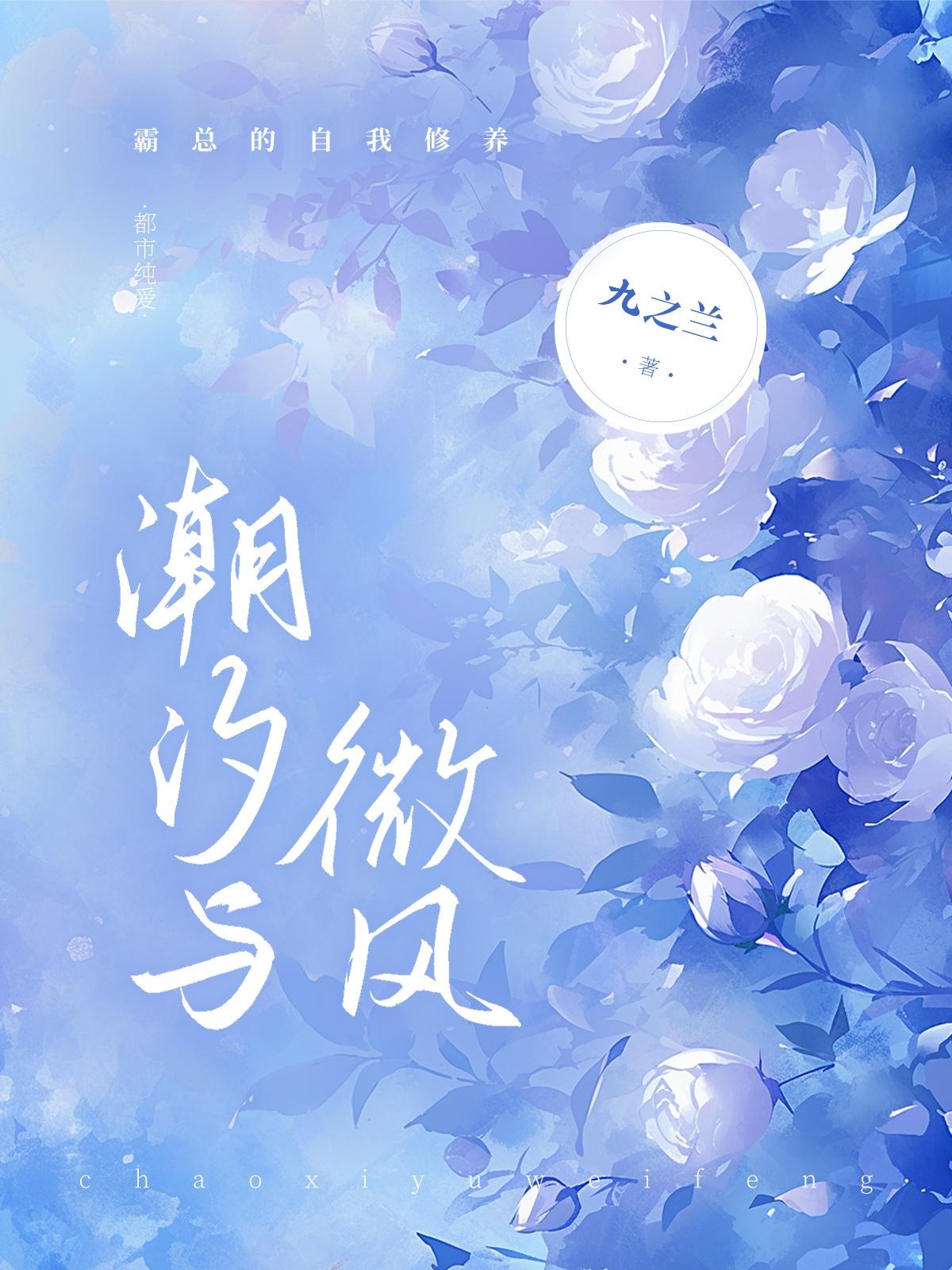 潮汐与微风封面