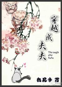 穿越成夫夫封面