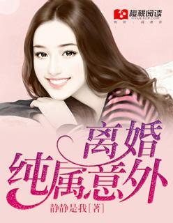 离婚纯属意外封面
