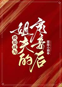 被迫成为姐夫的宠妾后封面