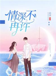 情深不再许封面