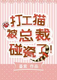 打工猫被霸总碰瓷了封面
