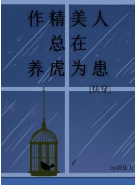 花瓶美人[快穿]封面
