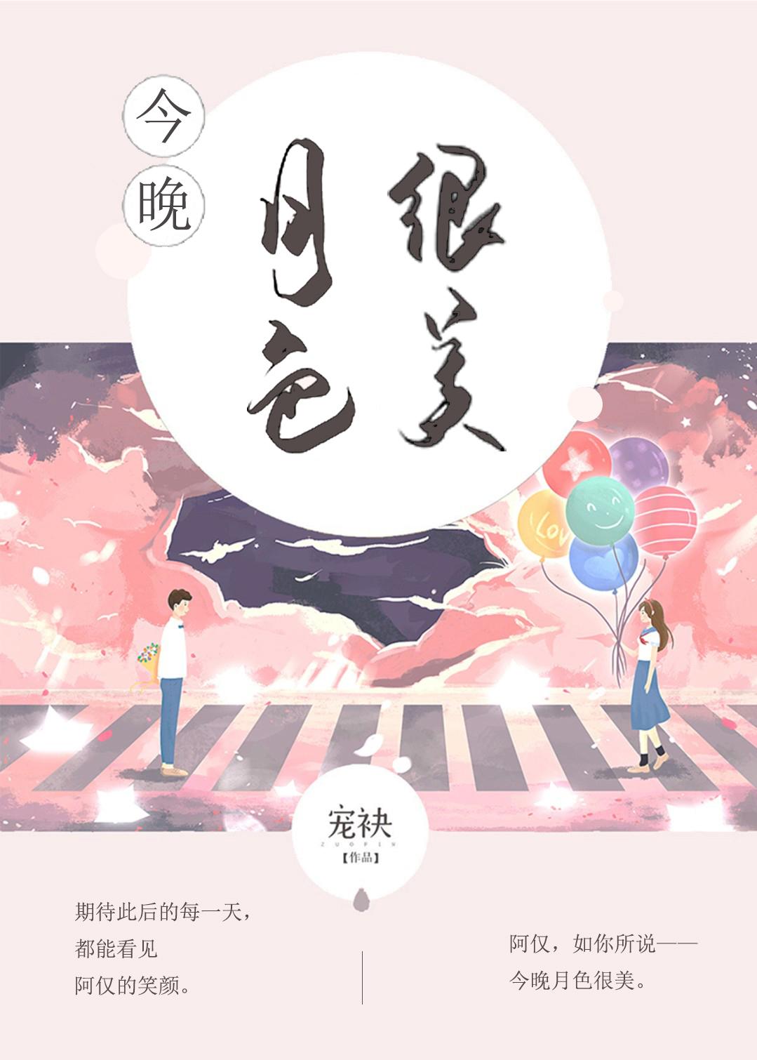今晚月色很美封面