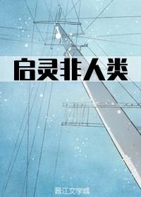 启灵非人类封面