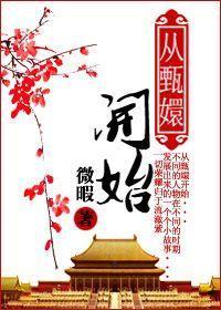 从甄嬛开始封面