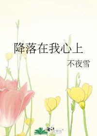 降落在我心上封面