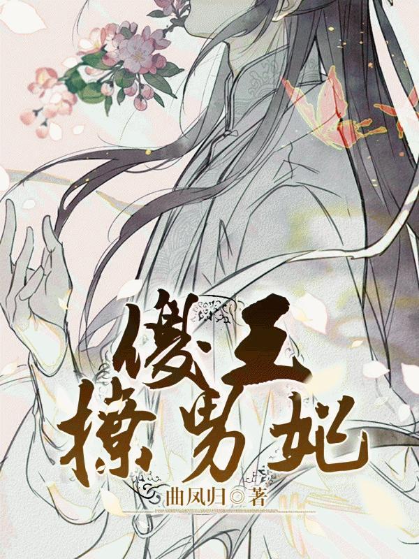 傻王撩男妃封面