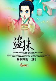 盗珠封面