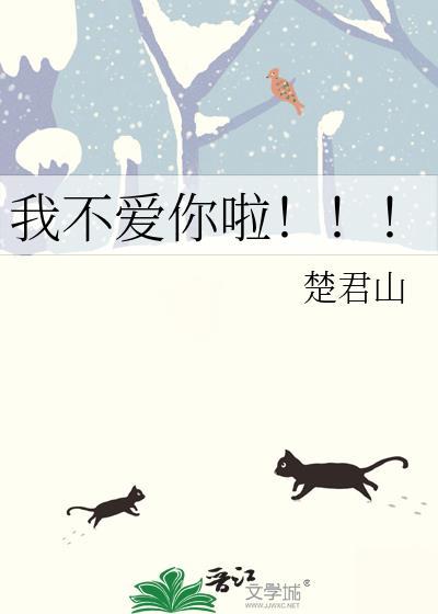 我不爱你啦封面