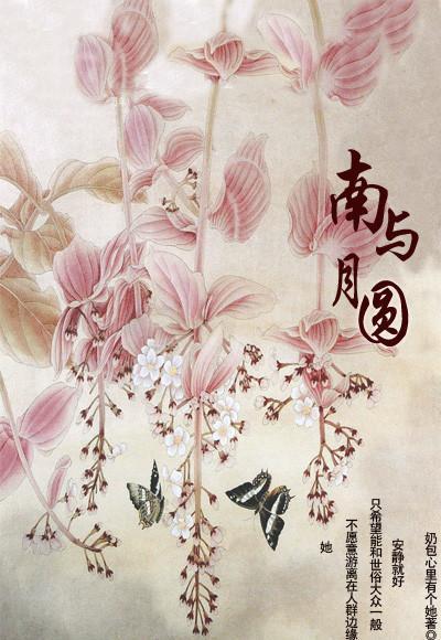 南与月圆封面