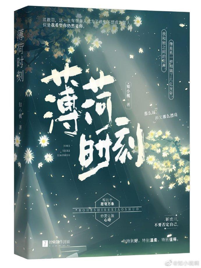 薄荷时刻封面