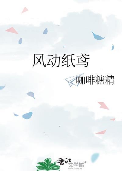 风动纸鸢封面