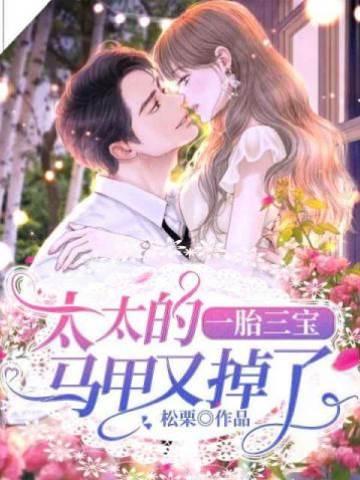 一胎三宝：太太的马甲又掉了封面