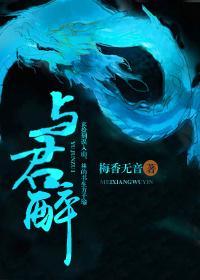 与君醉封面