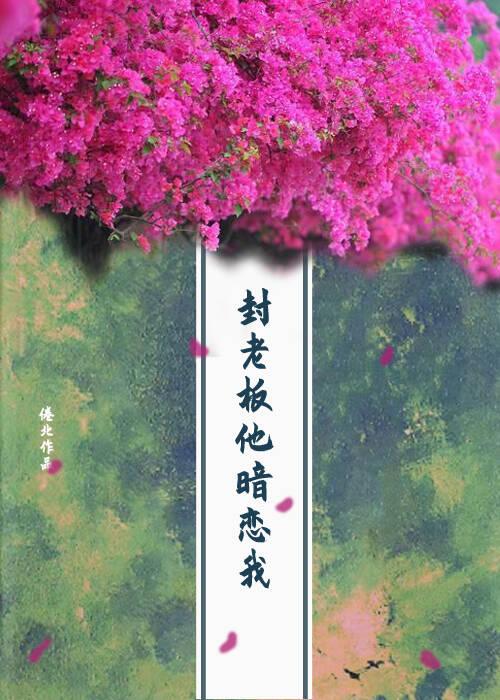 封老板他暗恋我封面