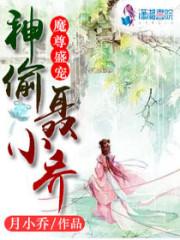 魔尊盛宠：神偷聂小乔封面