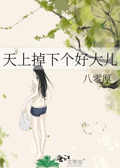天上掉下个好大儿封面
