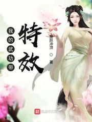 我的武功带特效封面
