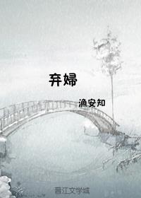 弃妇封面