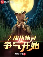 无敌从精灵争气开始封面