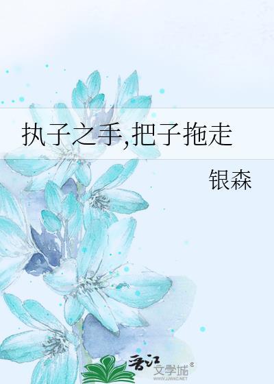 执子之手，把子拖走封面